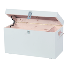 Maurer-Werkzeugkiste Holz 570/300mm