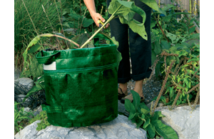 Garten-Bag  grün Colibri