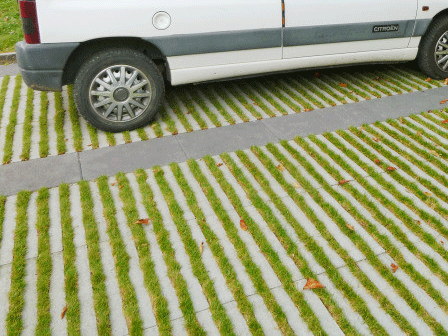 Raina Rasenliner grau mit Nocken
