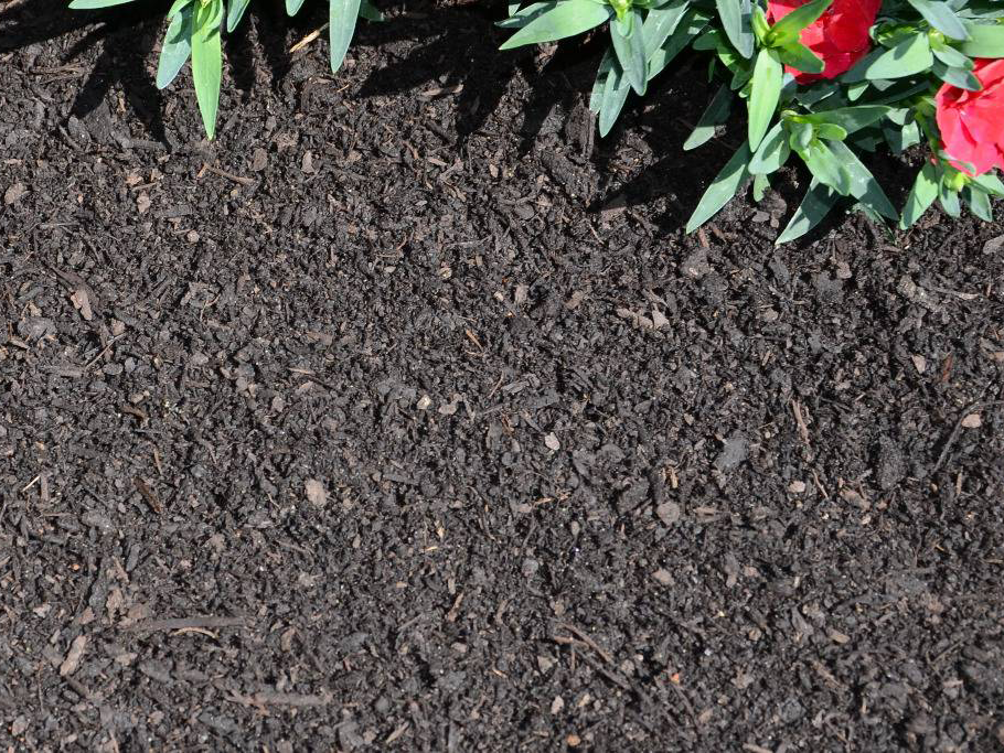 Ricoter Rindenkompost Bio-Line Torffrei