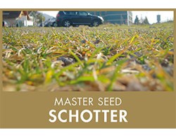 Master Seed Schotter