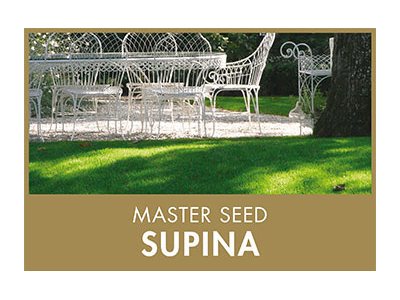 Master Seed Supina Profi-Schattenrasen 