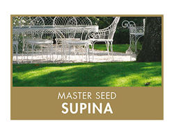 Master Seed Supina Profi-Schattenrasen 