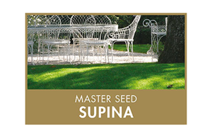 Master Seed Supina Profi-Schattenrasen 