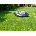 Master Seed Robo Lawn für Rasenroboter