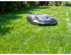 Master Seed Robo Lawn für Rasenroboter