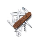 WinterWood Climber Magic Limited Edition 2025